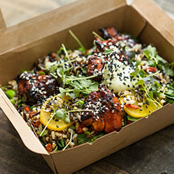Asian style individual hearty salads thumbnail
