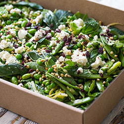 Green beans, sugar snaps, soy beans, asparagus and leek salad (Low Gluten) thumbnail