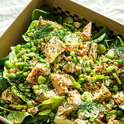 Miso salmon salad thumbnail