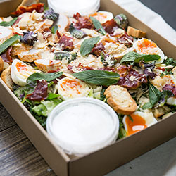 Poached chicken and kale Caesar salad thumbnail
