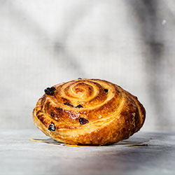 Snail thumbnail